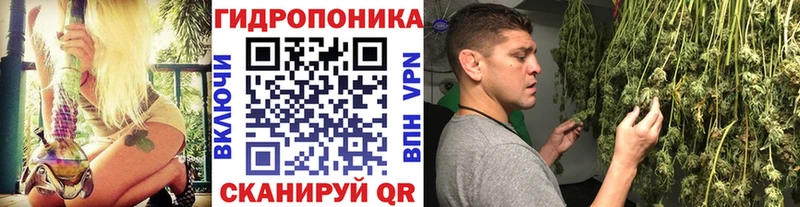 кракен как войти  Котельниково  МАРИХУАНА план 